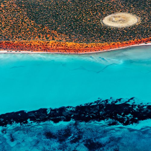 Shark Bay Aerial 6